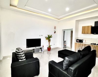 One Bedroom Apartment
